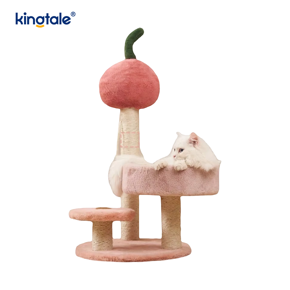 Tiang Garuk dengan Tempat Tidur untuk Anak Kucing Kecil Dalam Ruangan