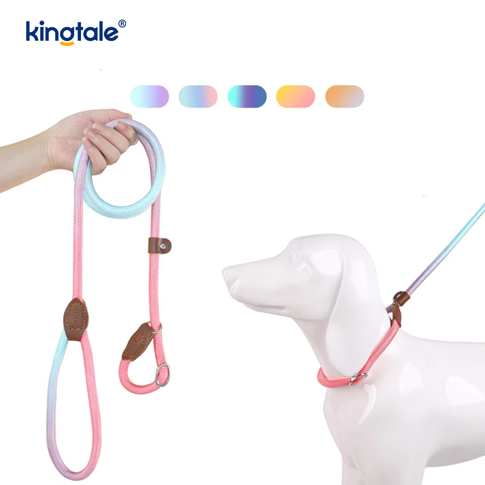 Tali Anjing Slip Macarons