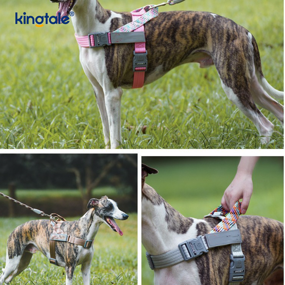 Mengembangkan Anyaman Nilon Kepang Sorot Harness Anjing Reflektif