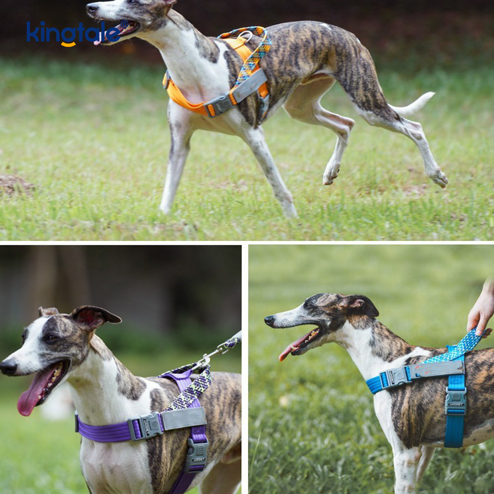 Mengembangkan Anyaman Nilon Kepang Sorot Harness Anjing Reflektif