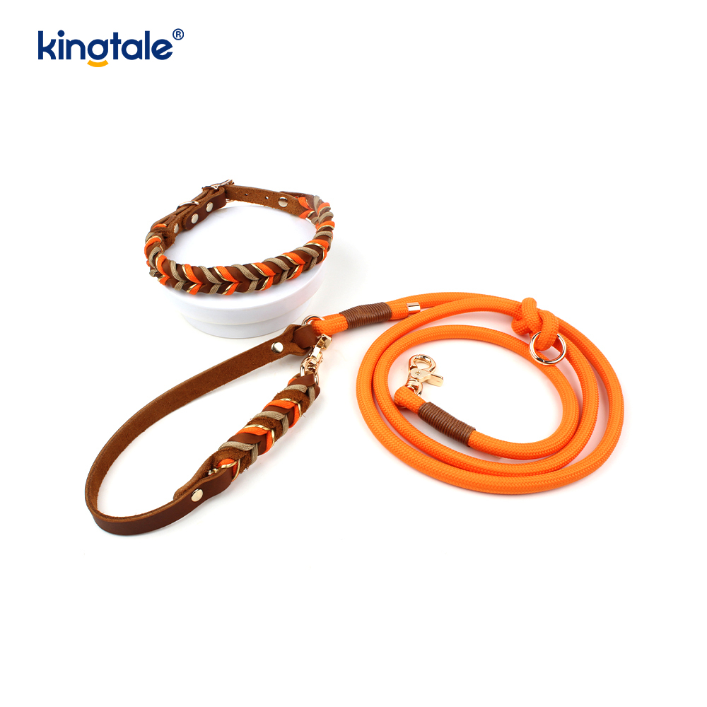 Set Kerah & Tali Anjing Kulit Asli