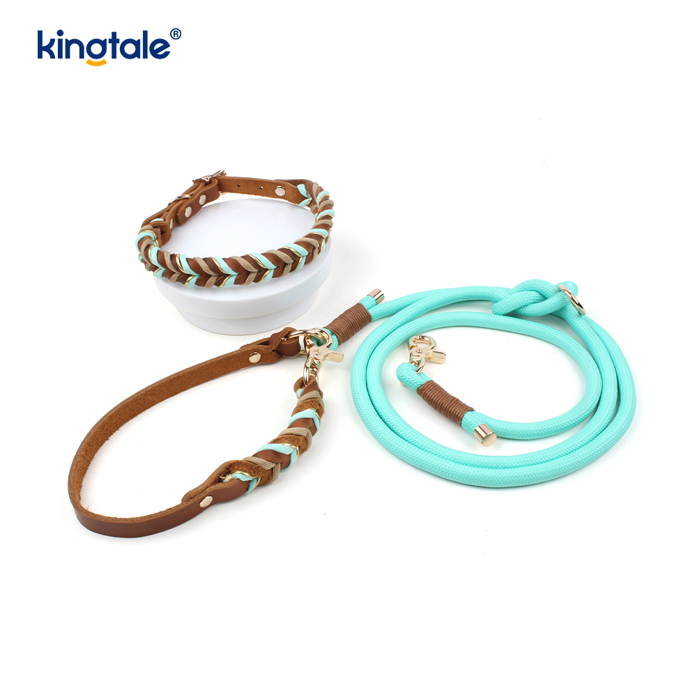 Set Kerah & Tali Anjing Kulit Asli
