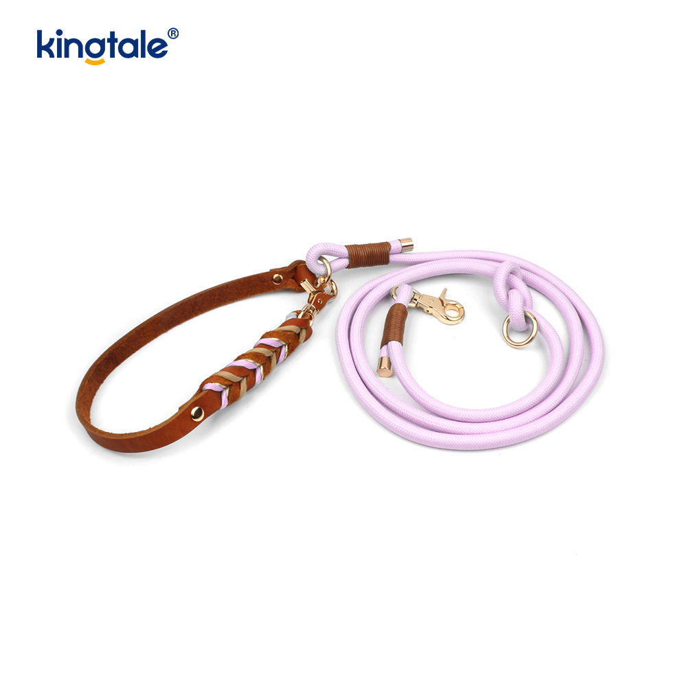 Set Kerah & Tali Anjing Kulit Asli