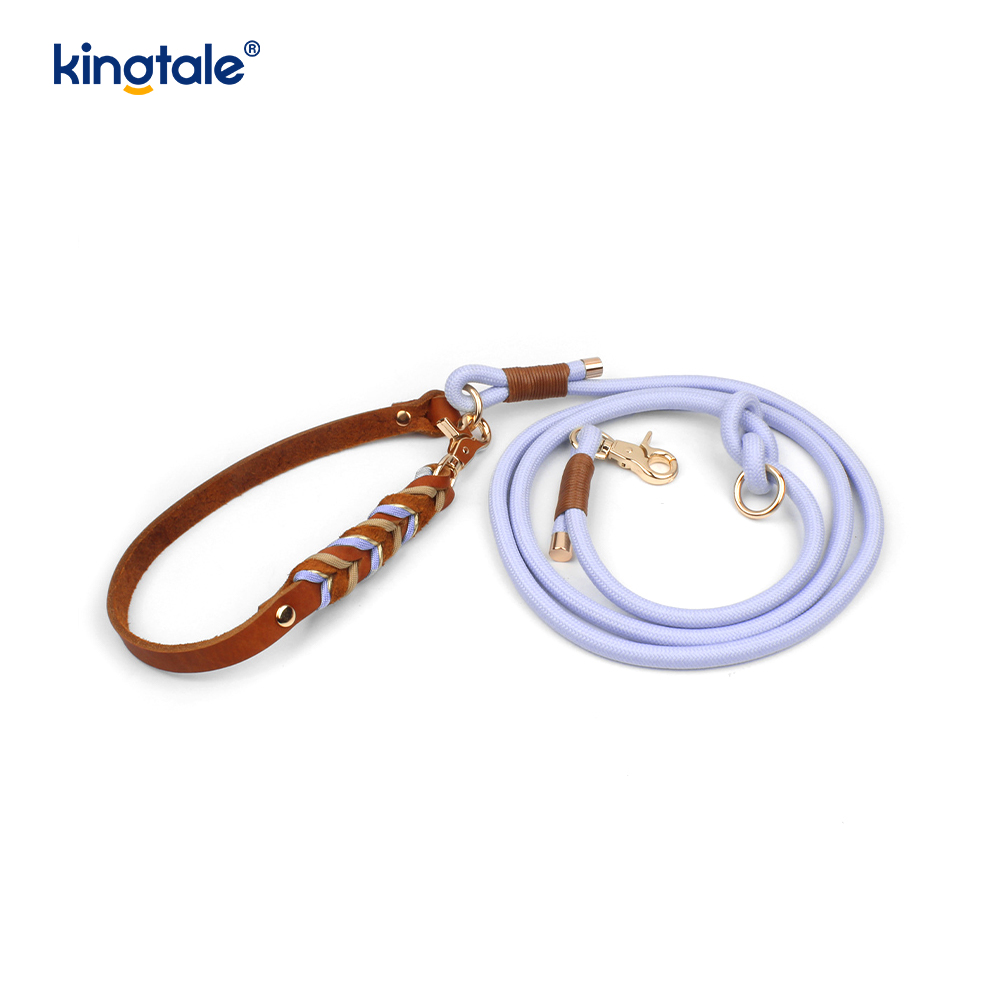 Set Kerah & Tali Anjing Kulit Asli