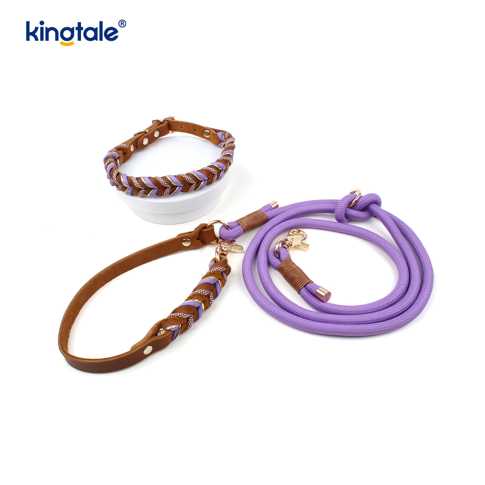 Set Kerah & Tali Anjing Kulit Asli