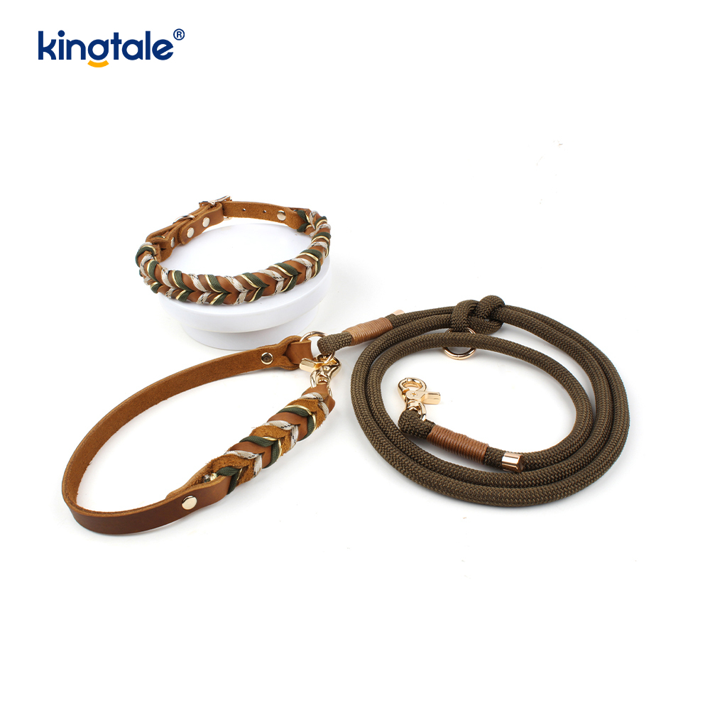 Set Kerah & Tali Anjing Kulit Asli
