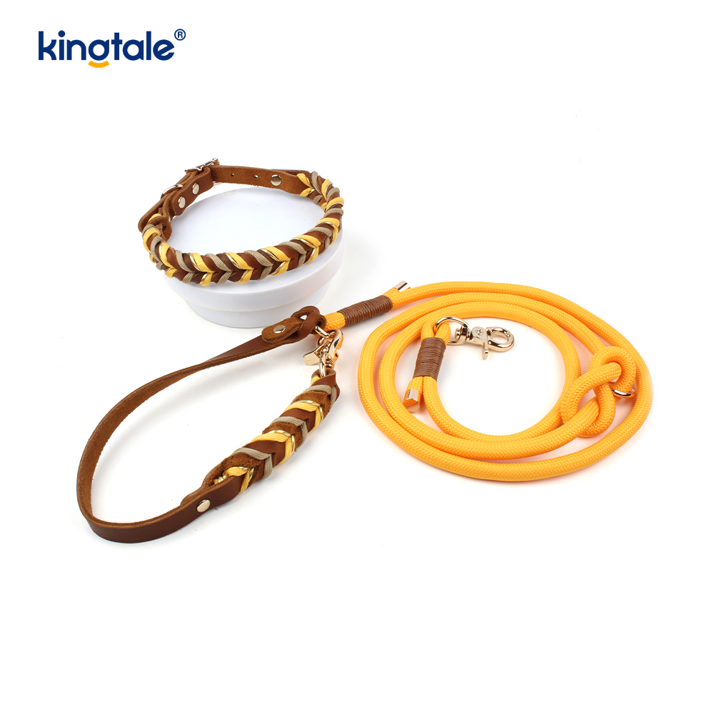 Set Kerah & Tali Anjing Kulit Asli