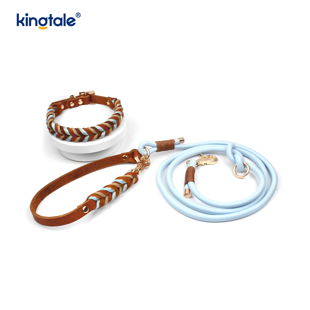 Set Kerah & Tali Anjing Kulit Asli