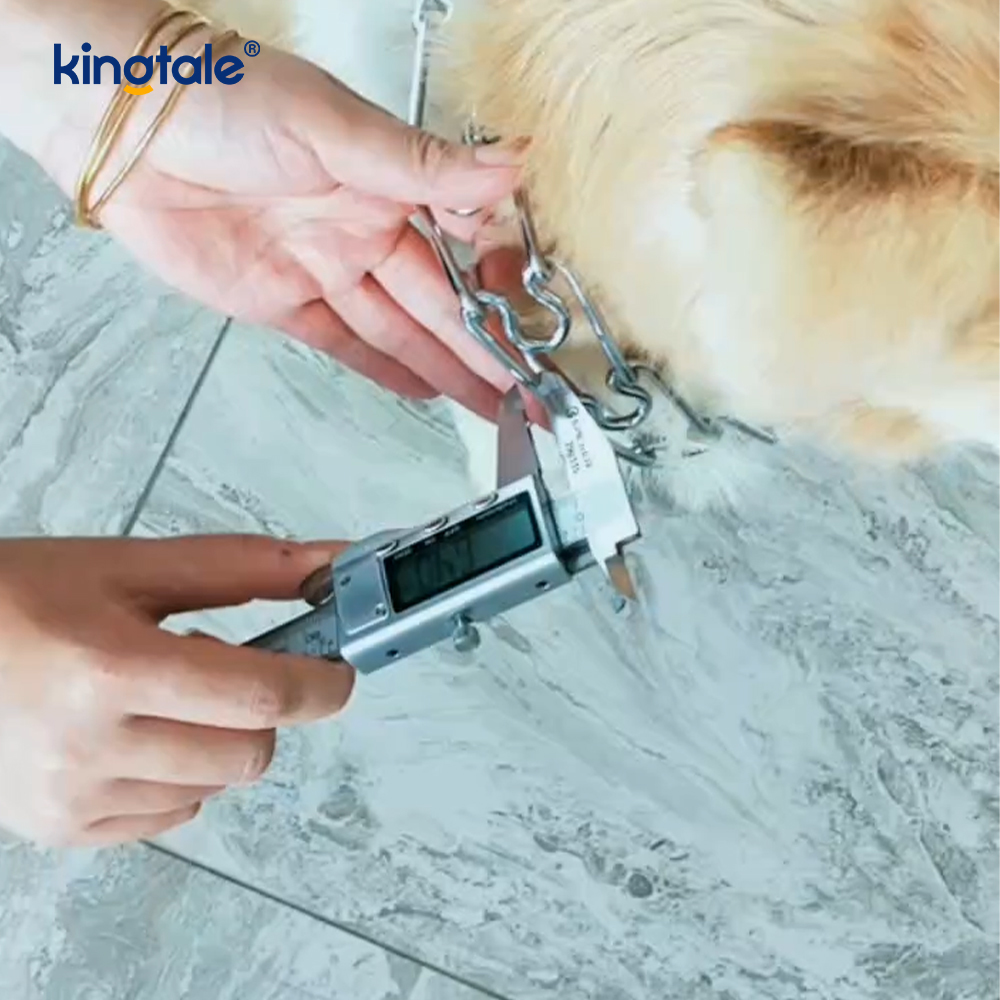 Kerah Pelatihan Anjing Cabang Logam Baja Karbon Kerah Choke Jepit Hewan Peliharaan