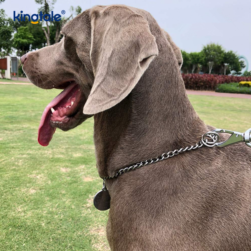 Pelatihan Logam Anjing Tersedak Kerah Slip P Rantai Rantai Berat Untuk Anjing