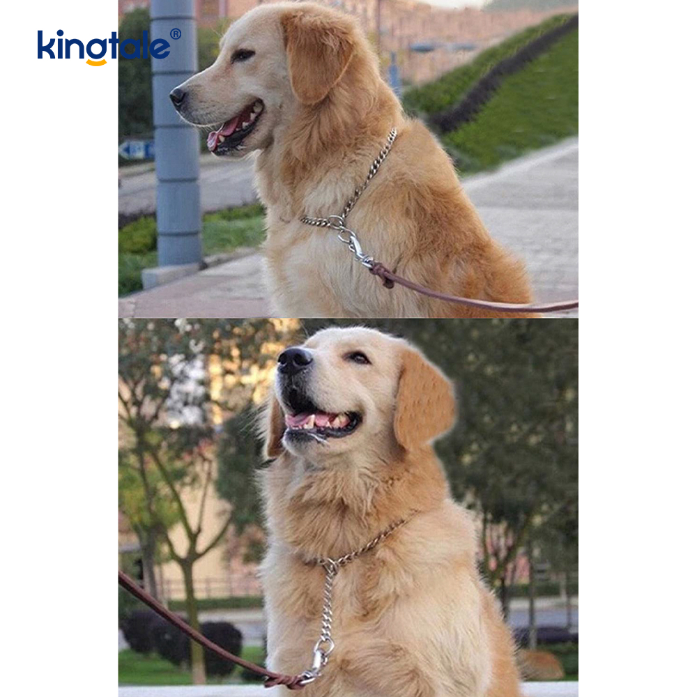 Pelatihan Logam Anjing Tersedak Kerah Slip P Rantai Rantai Berat Untuk Anjing