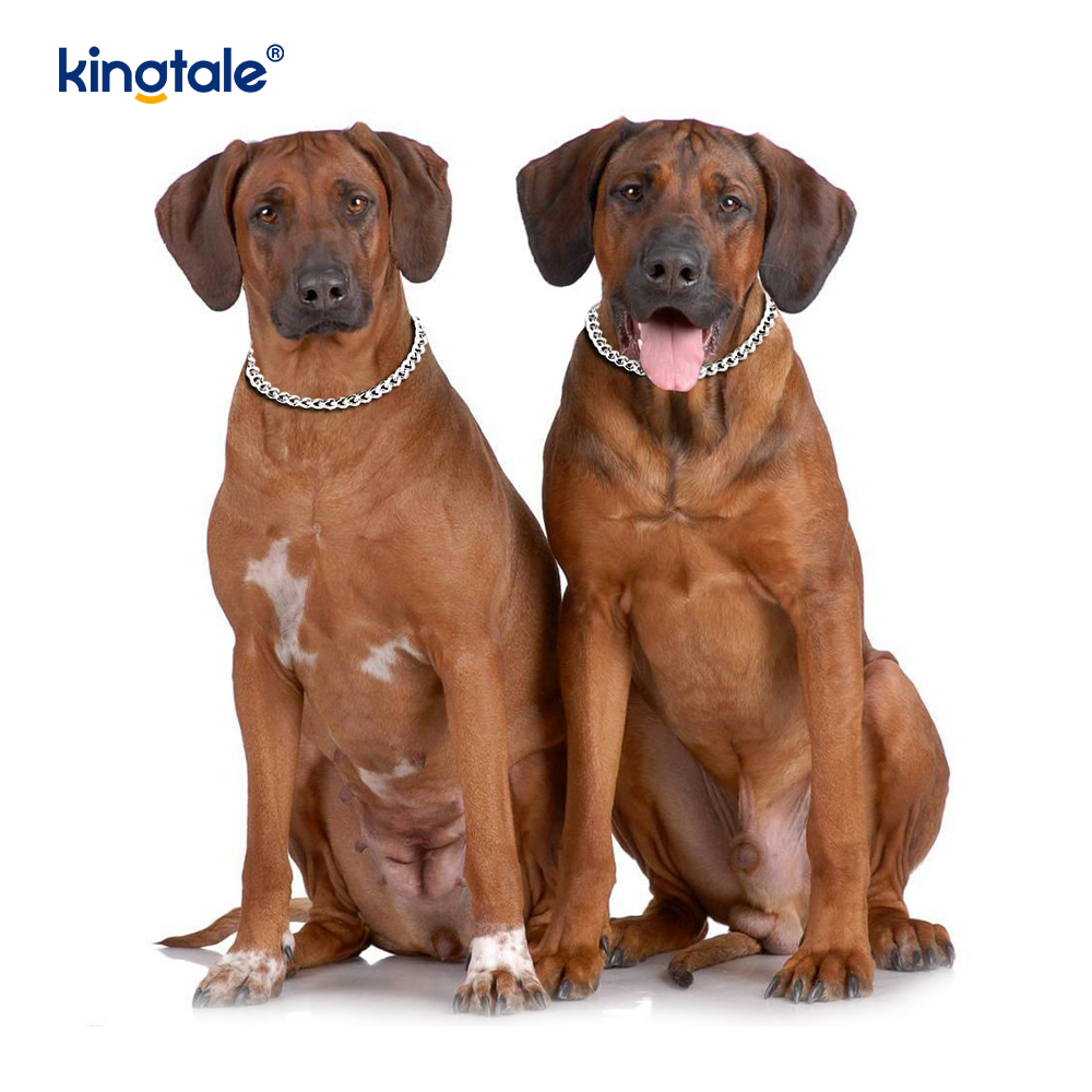 Pelatihan Logam Anjing Tersedak Kerah Slip P Rantai Rantai Berat Untuk Anjing