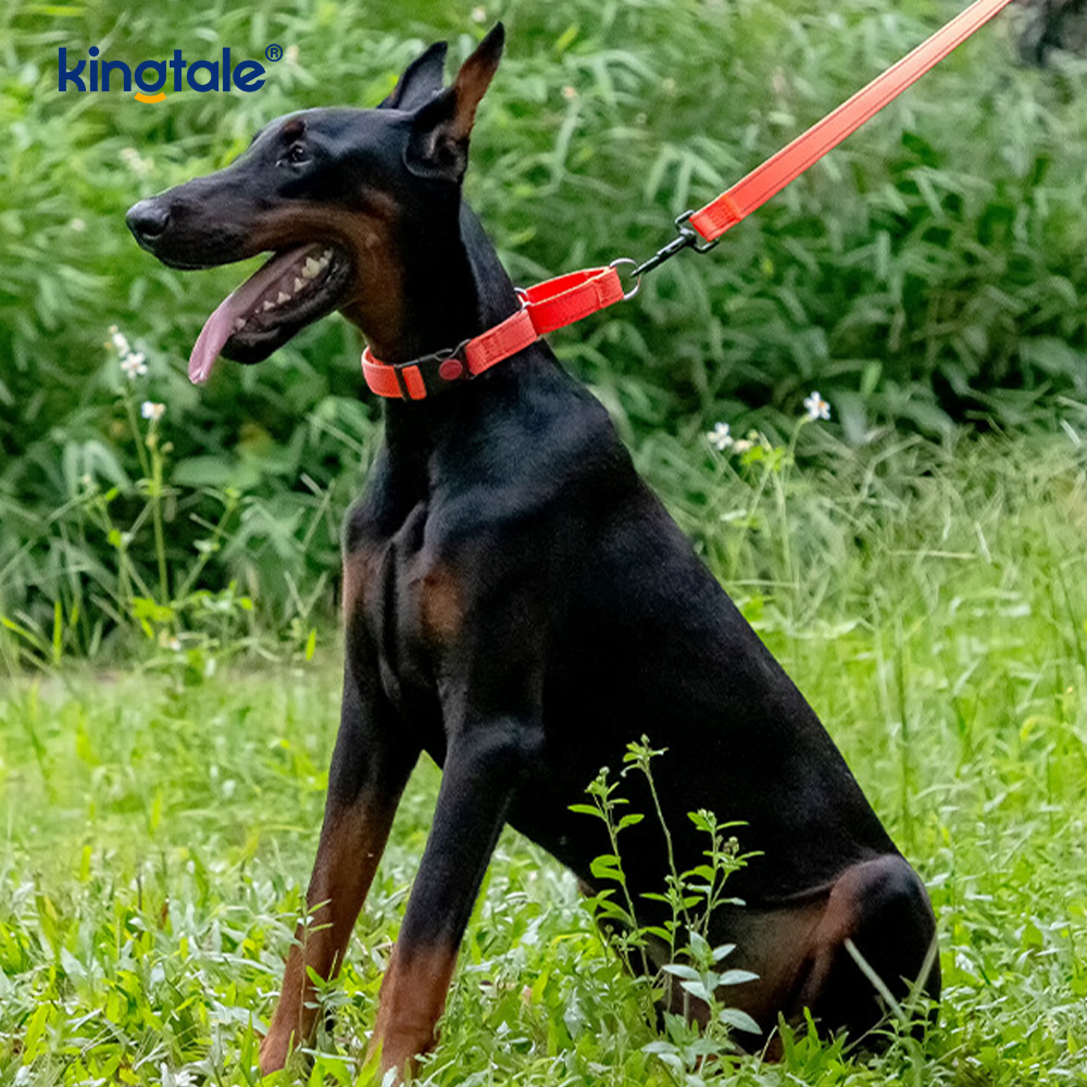 Kerah Anjing Martingale Nilon Dapat Disesuaikan Reflektif Tanpa Tarikan untuk Anjing S M A L L