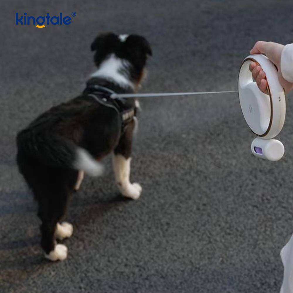 Tali Kerah Anjing Nilon Dapat Ditarik Otomatis Pencahayaan Led Modern Sederhana