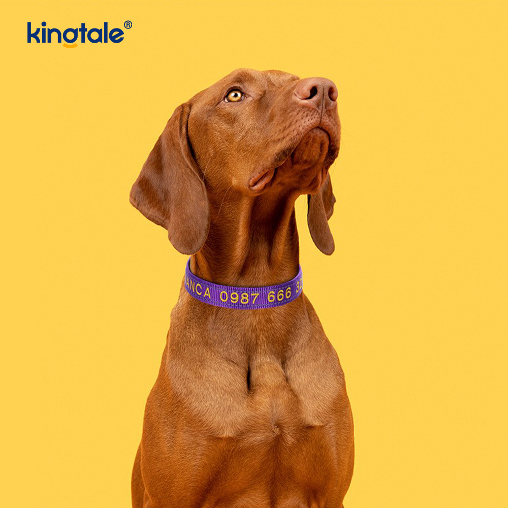 Desain Gesper Berkode Kerah Anjing Servis Untuk Mencegah Kecelakaan