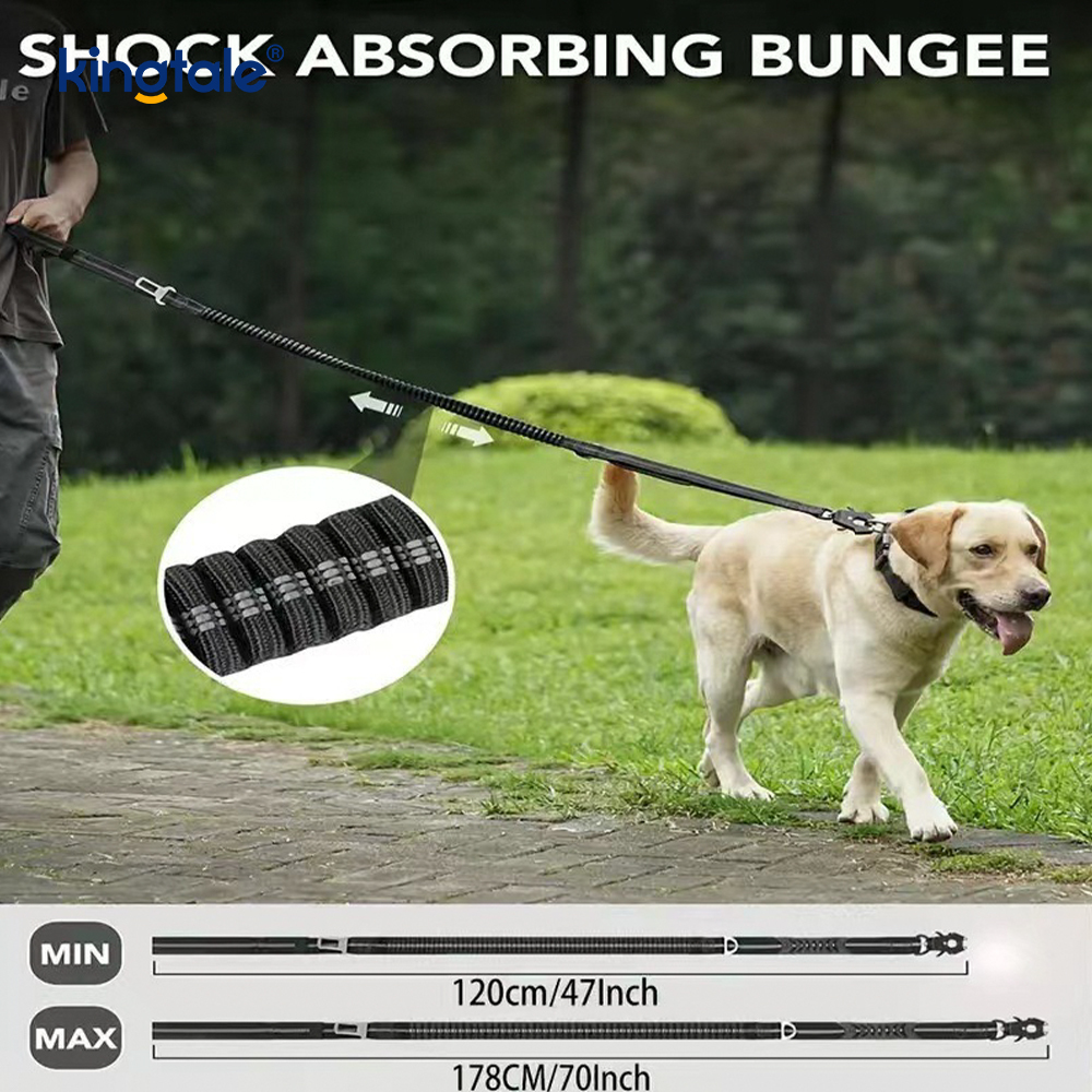 Timbal Anjing Tugas Berat 4 In 1 Dengan Sabuk Pengaman Mobil Dan Pegangan Empuk Lembut Timbal Anjing Tugas Berat 4 In 1 Dengan Sabuk Pengaman Mobil Dan Pegangan Empuk Lembut