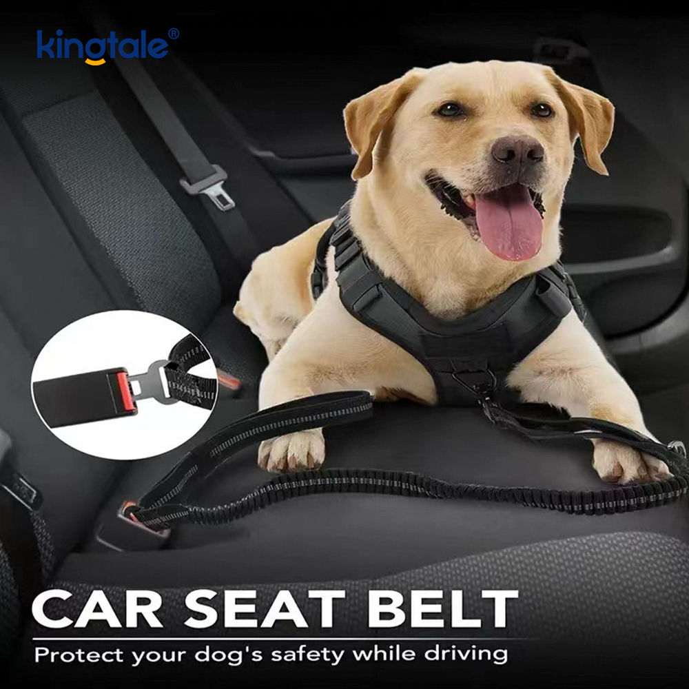 Timbal Anjing Tugas Berat 4 In 1 Dengan Sabuk Pengaman Mobil Dan Pegangan Empuk Lembut Timbal Anjing Tugas Berat 4 In 1 Dengan Sabuk Pengaman Mobil Dan Pegangan Empuk Lembut