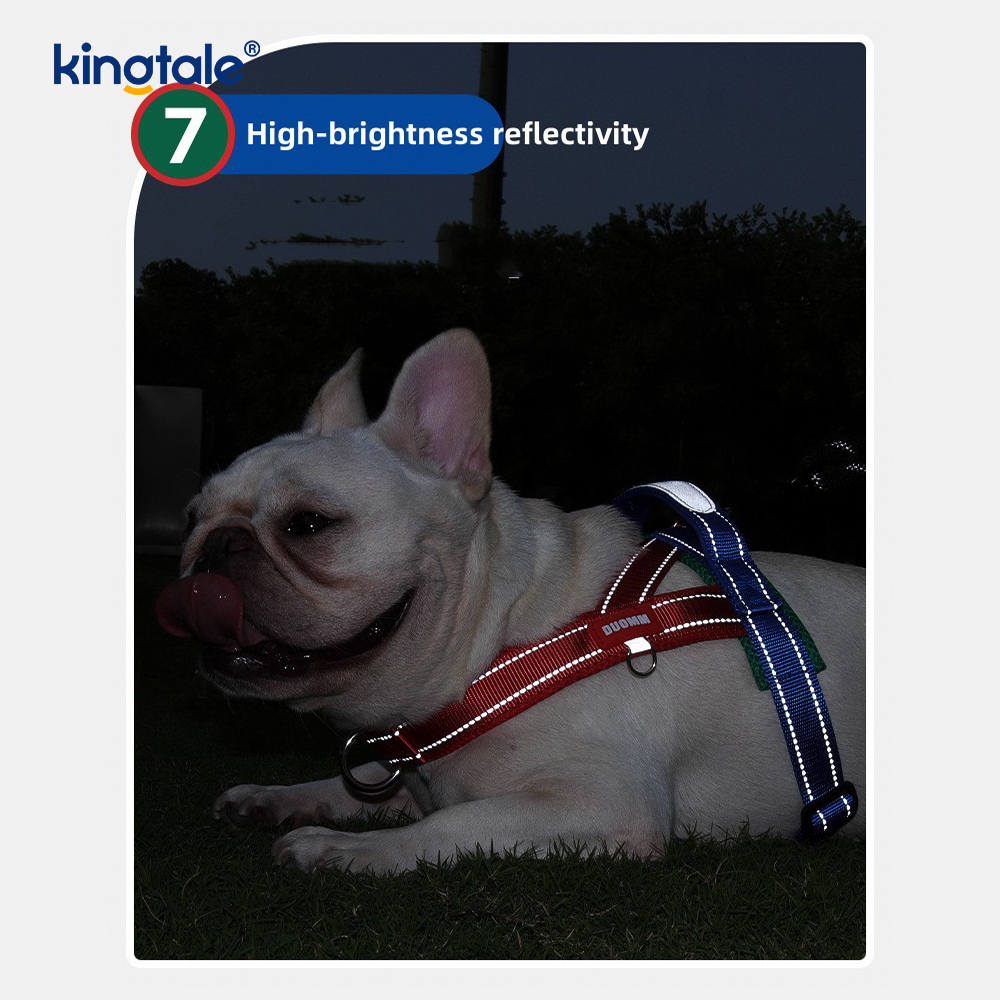 Set Paling Sedikit Harnes Anjing Peliharaan Reflektif Nilon Grosir Kustom yang Dapat Disesuaikan