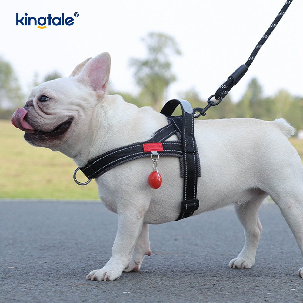 Set Paling Sedikit Harnes Anjing Peliharaan Reflektif Nilon Grosir Kustom yang Dapat Disesuaikan