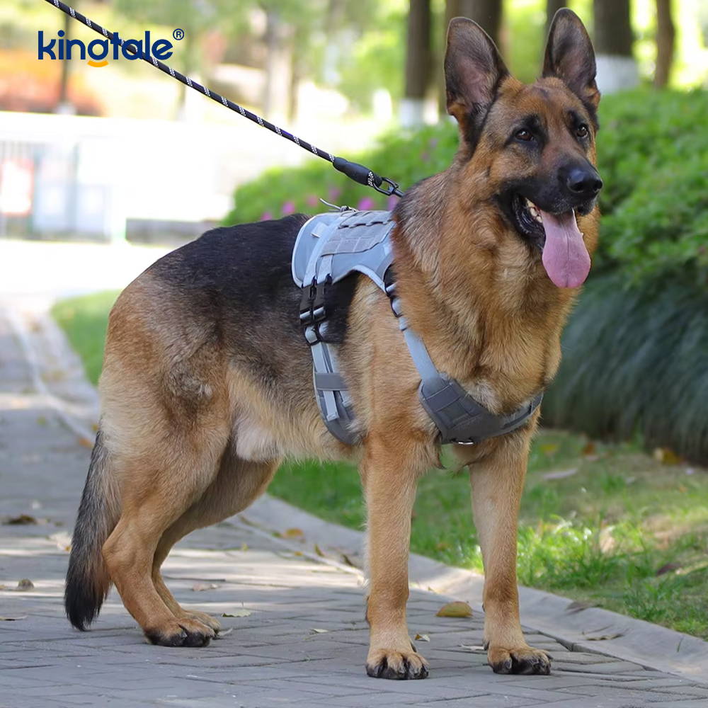 Tali Kekang Anjing Jaring Rompi Besar Tugas Berat yang Dapat Disesuaikan dan Dapat Disesuaikan