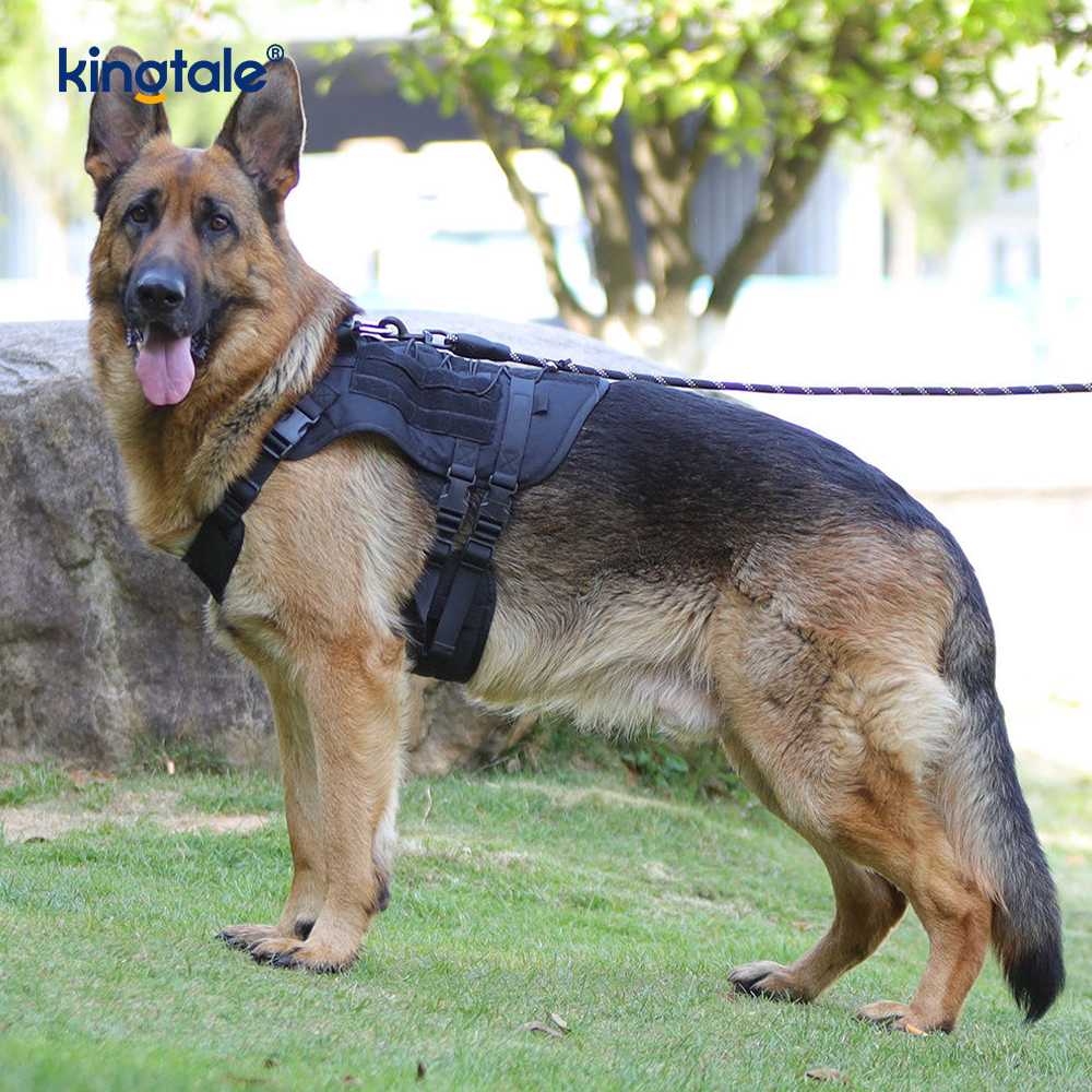 Tali Kekang Anjing Jaring Rompi Besar Tugas Berat yang Dapat Disesuaikan dan Dapat Disesuaikan