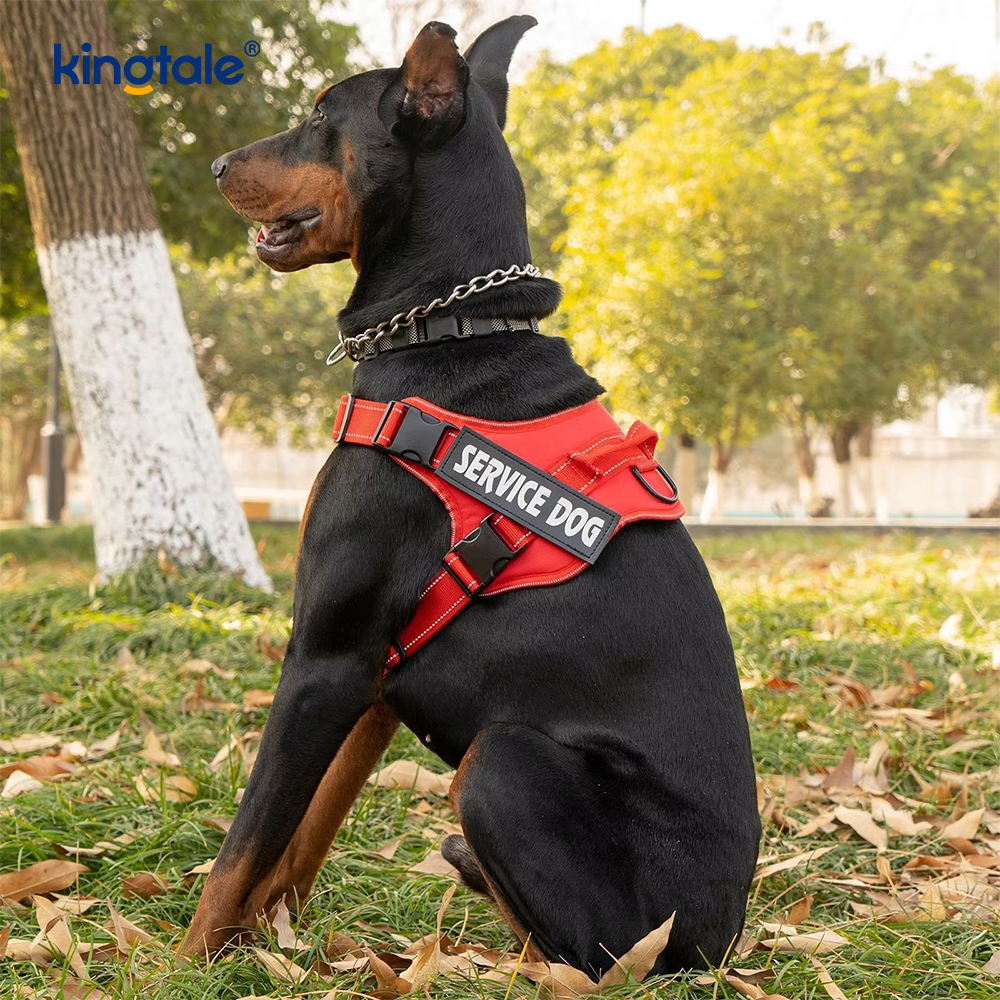 Harnes Anjing Taktis Tugas Berat Taktis Reflektif Tanpa Tarikan untuk Anjing Besar