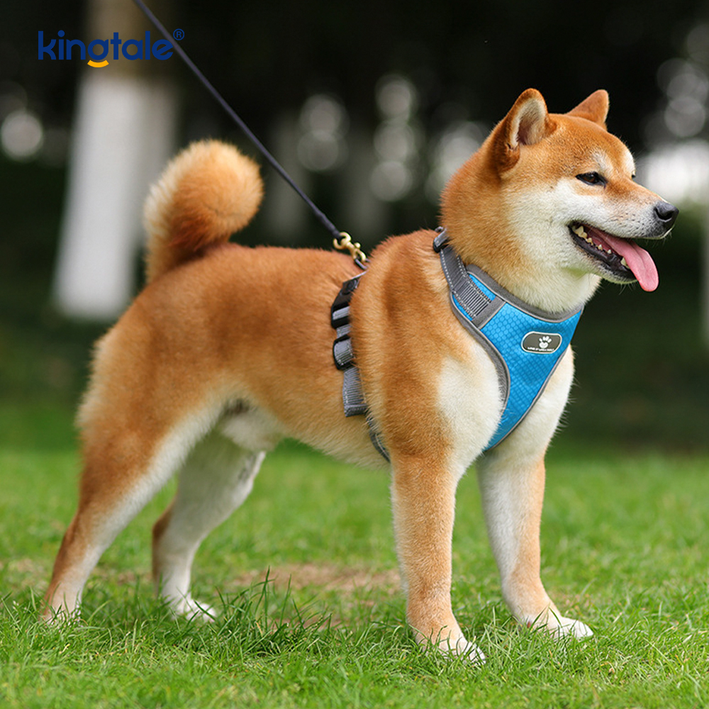 Rompi Oxford Anjing Reflektif Tali Kekang Hewan Peliharaan Tanpa Tarikan Empuk Lembut Dapat Disesuaikan