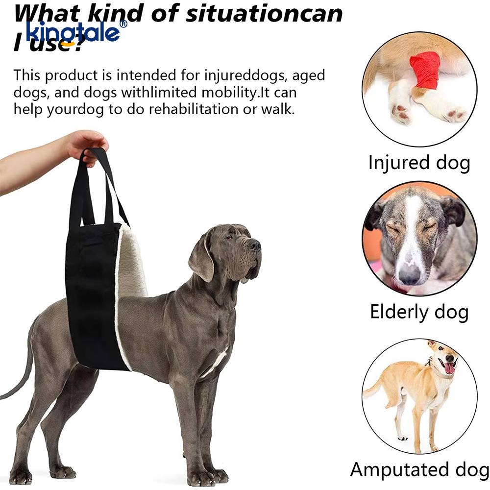 Tali Kekang Pengangkat Anjing Berkelanjutan Padat Selempang Anjing Portabel yang Disesuaikan Untuk Hewan Peliharaan