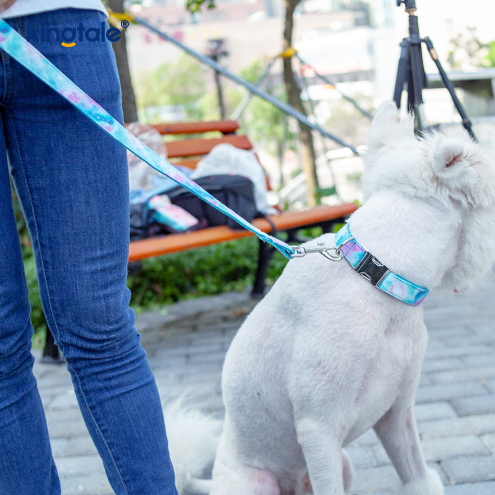 Tali Kalung Anjing Gaya Amazon Kerah Hewan Pengasuh Langit Berbintang Melamun