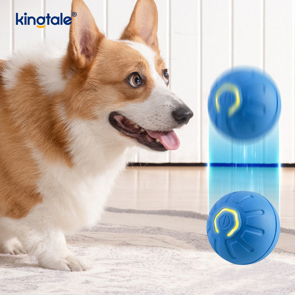 Bola Anjing Remote Control Tahan Lama Bola Bergulir Aktif Otomatis untuk Anjing
