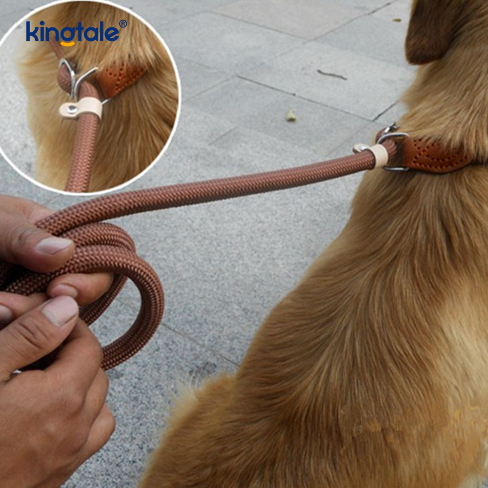 Tali P Ekstra Panjang & Tebal Anti Tarik untuk Slip Lead Pelatihan Anjing