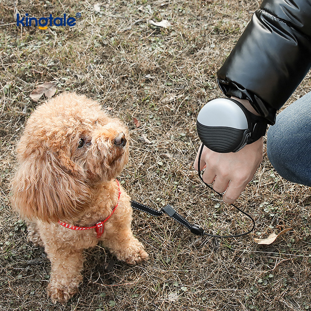 Tali Jam Tangan Tali Hewan Peliharaan yang Dapat Ditarik untuk Anjing Kecil Menengah Besar