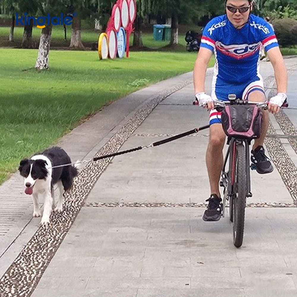 Tali Traksi Anjing Bebas Genggam Tambahan Tali Anjing Sepeda